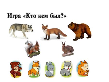 Дидактическая игра чей детеныш Дикие животные