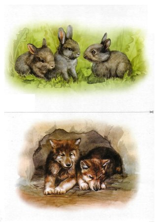 Н. Нищева Дикие животные наших лесов