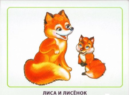 Дикие животные. Мамы и малыши