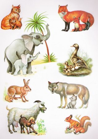 Иллюстрации с животными для детей