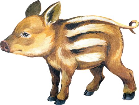 Лесные животные