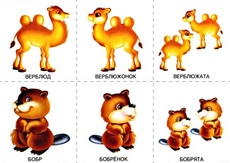 Карточки звери и их Детеныши