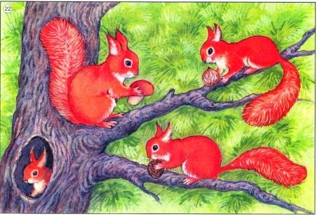 Иллюстрация белка с бельчатами