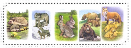 Назови детенышей диких животных