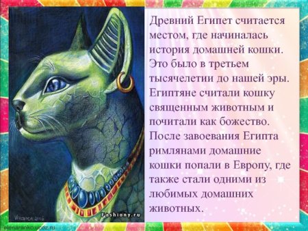 Легенды о животных