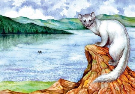 Тургояк рисунок