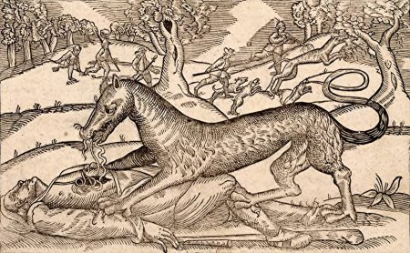 Жеводанский зверь оборотень