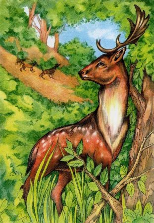 Олень Актеон мифы древней Греции