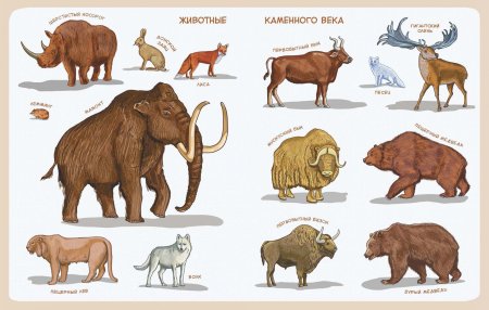 Качур Елена "каменный век"