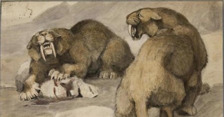 Мамонты Саблезубый тигр пещерный Лев