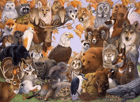 Много зверей