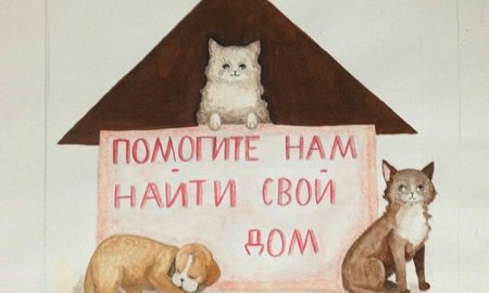 Каждой собаке нужен дом