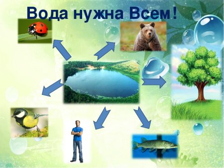 Вода нужна всем