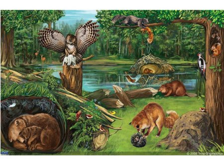 Лес и его обитатели