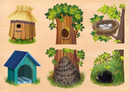 Домики диких животных