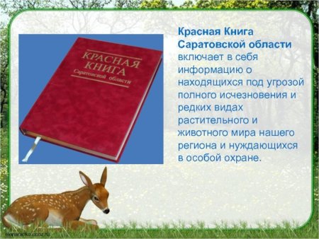 Саратовский государственный природный заказник