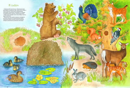 Животный мир для дошкольников