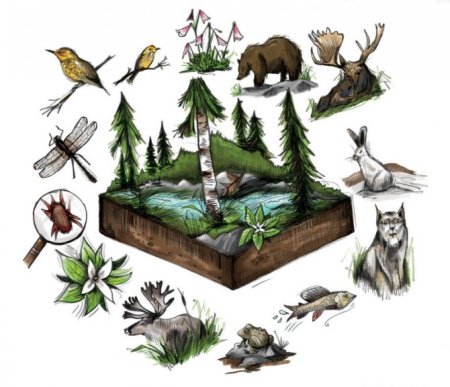 Уменьшение биоразнообразия