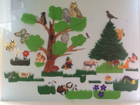 Экология в детском саду старшая группа