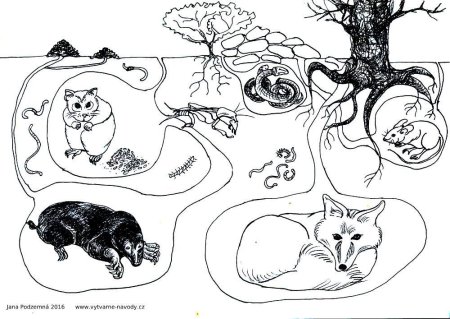 Обитатели почвы раскраска