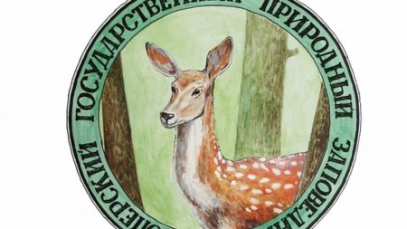 Воронежский заповедник рисунок