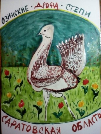 Журавль красавка красная книга