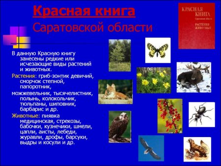 Животные Саратовской области занесенные в красную книгу