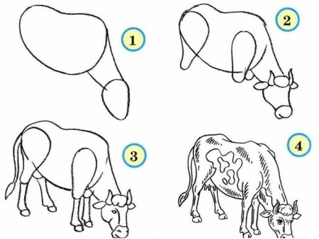 Поэтапное рисование коровы