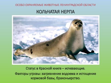 Особо охраняемые животные