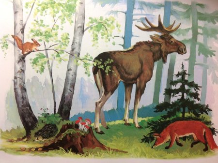 Иллюстрации с дикими животными