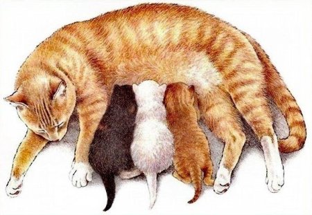 Собака заботится о щенках