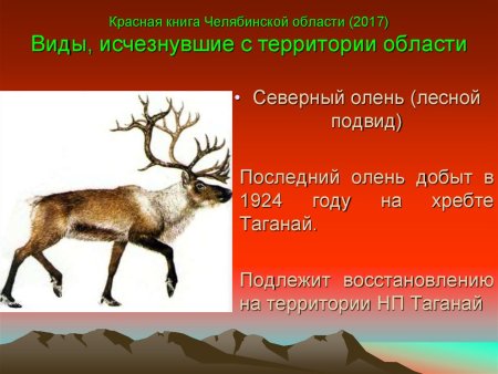 Животные занесённые в красную книгу Челябинской