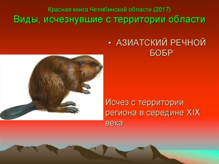 Красная книга Челябинской области книга
