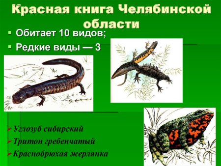 Красная книга Челябинской области