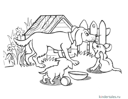 Животные и их Детёныши для детей раскраска