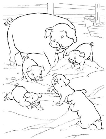 Поросенок раскраска