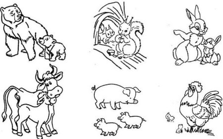 Рисунок как заботятся о своем потомстве домашние животные