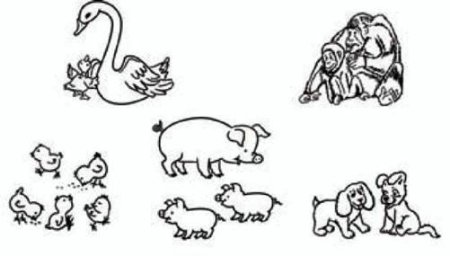 Забота о потомстве рисунок