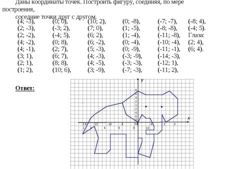 Животное на коорд плоскости