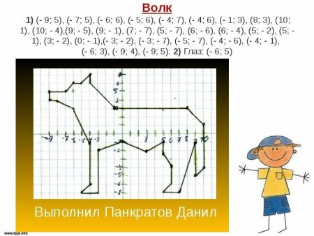 Животное из координатных точек