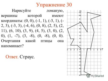 Рисунки на системе координат с координатами