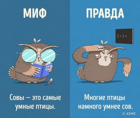 Правда или миф о животных