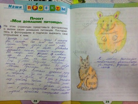 Проект Мои домашние питомцы