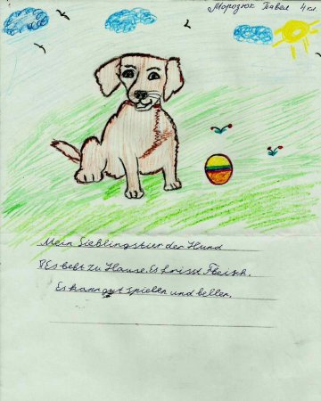 Сочинение мой любимый питомец