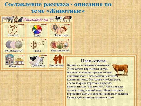 Схема для составления описательного рассказа о животных