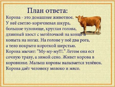 Описание домашних животных