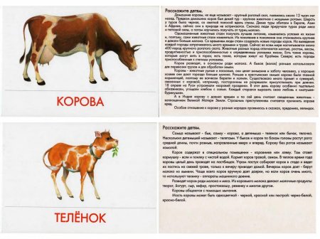 Описание домашних животных