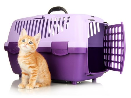 Переноска для котов Cat Carrier