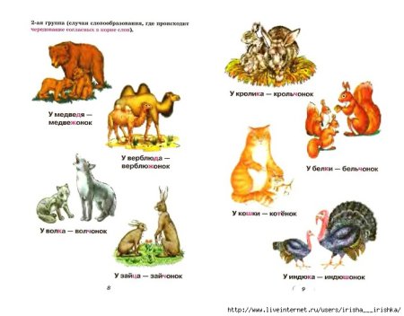 Названия диких животных и их детенышей