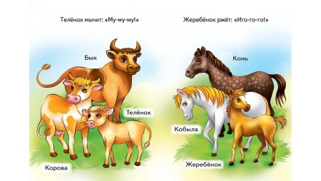Животные и их Детёныши для детей